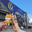 나윤선전 「나윤선의 크리스마스 콘서트」 | [데이식스/The Present/크리스마스 콘서트 후기] 하루가 짧다 진짜로