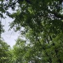 숲이룸2차