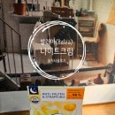 독일 기념품 디엠(DM) 발레아 Balea Q10 나이트크림 솔직 사용후기