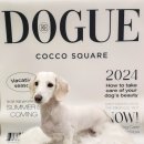 코코스퀘어 애견미용 이미지