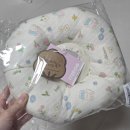 이츠독 | 강아지 넥카라 추천 이츠독 오가닉 넥카라 내돈내산 구매 후기