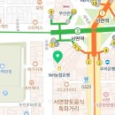 스타비성형외과의원 이미지