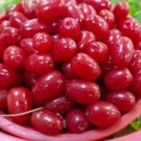 미락농장 이미지