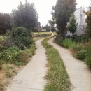 대정2리 이미지