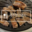 제주청정돼지 | [연천 맛집] 전곡역 고깃집 제주청년돼지 솔직후기