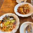 카페문화동 | [문화동 브런치]대전 중구 브런치카페 “티마” 내돈내산후기