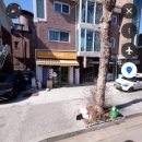 댕댕나비 이미지