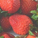 남해파라다이스콘도미니엄 이미지