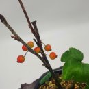 달림농장 이미지