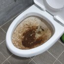 황금게임장 이미지