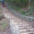 산촌버섯마을 이미지