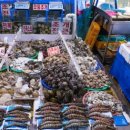 주문진 수산 이미지