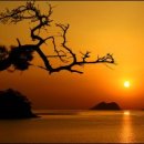 아름다운삶 이미지