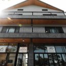 천년비자 이미지