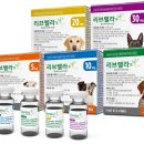 미사 센트럴 동물병원 이미지