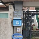 동홍동주민센터 | [제주의 봄 9] 작가의 산책길 작품들, 서귀포 올레시장 마지막 산책 &amp; 서귀포 중앙도서관 투어하고 책과...