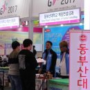 지스타컨설팅 이미지
