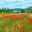 다래목장 이미지