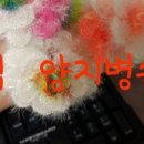 양지-2 이미지