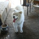 허니농장 이미지