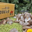 사랑이네반찬 이미지