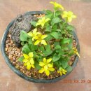 지인농원 이미지