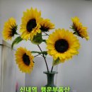 신내역프라디움더테라스아파트 | 초 역세권 쾌적한 신축 2룸 신내역 프라디움 더테라스 매매 아파텔을 신내역 행운 부동산에서 안내합니다.