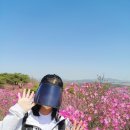 GS25 검단으뜸점 | 가현산 진달래 산행::검단사거리역 시작 등산코스