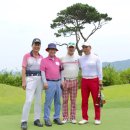 양명고등학교 Daum카페