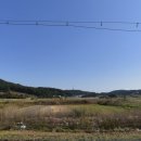 꿈이자라는땅 이미지