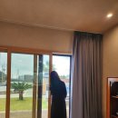 더 아도록 이미지