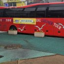 시티투어 이미지