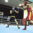 팀몬스터 복싱체육관 이미지