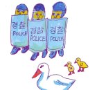 비해피 이미지