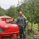 황정리 과수원 이미지