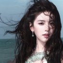 세미폭스 | 중남을 너무 사랑한 나머지 세미 중국인이 되어버린 여자가 있어…