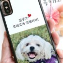 폰케이스 - 북구 우치로 84 | 폰케이스