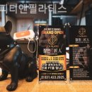 이고 피티 앤 필라테스 이미지