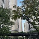 배재중학교 | [강동구] 명일역 초역세권 래미안솔베뉴 걸어서 임장후기