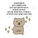 먹보추어탕 | 나는 이 편지를 쓰면서 그것이 얼마나 진실되고 강력한것인지 느낄 수 있어!