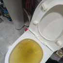 성남변기고장수리부속품교체변기막힘하수구역류