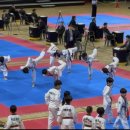 용인대 k-타이거즈 태권도장 이미지