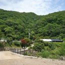 여주-0145 Daum카페