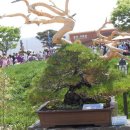 사리(신)