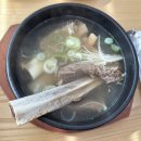 경희면옥 - 동대문구 이문로 7 | 청량리, 회기 맛집_경희면옥 내돈내산 후기