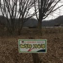 성인목장 이미지