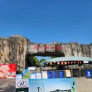 (주)야생 | 중국 허페이｜광활한 대자연 속 ‘허페이 야생동물원’ 리얼 후기