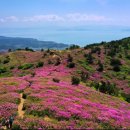 보성군청 이미지