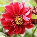 한우사육농장 이미지