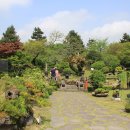 방림원 식물원 이미지